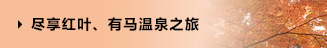 盡享紅葉、有馬溫泉之旅