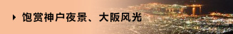 飽賞神戶夜景、大阪風(fēng)光